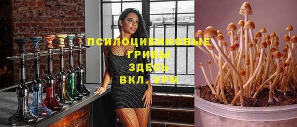 мет Алексин