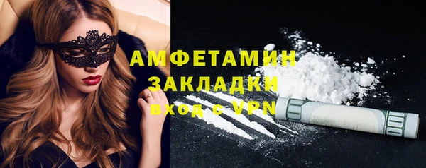 мет Алексин