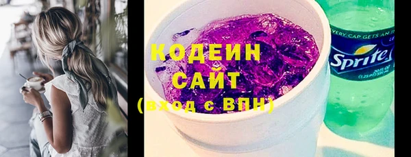 мет Алексин
