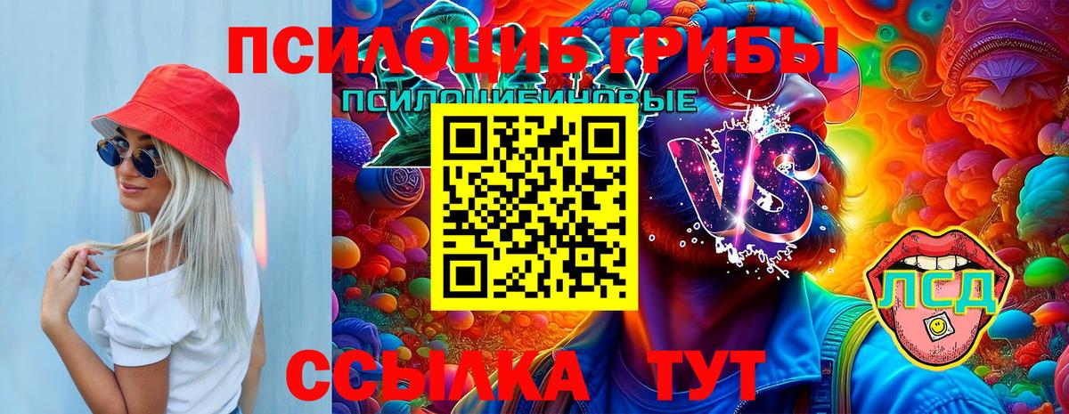 Псилоцибиновые грибы Psilocybe  как найти   Урай  Вход с VPN  Псилоцибиновые грибы Cubensis 