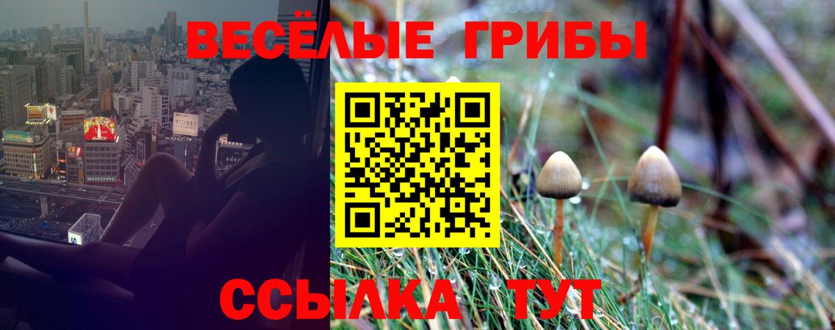 Псилоцибиновые грибы GOLDEN TEACHER Урай